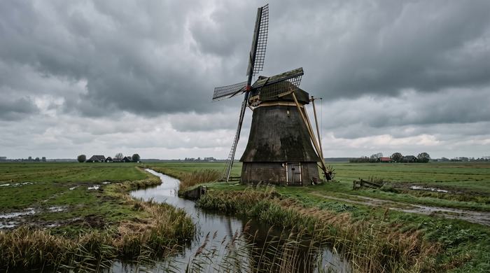 Poldermolen in een weiland
